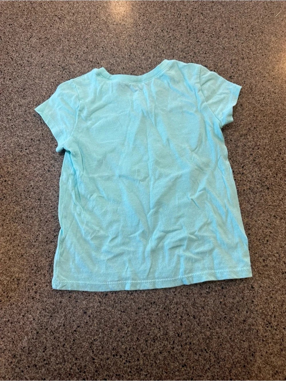 Grace Aqua Bunny & Chick Short Sleeve Tee